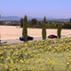 Image for article titled Everything Revealed In The First Full-Length Grand Tour Trailer
